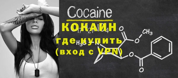 сатива Аркадак