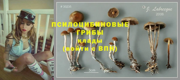 сатива Аркадак