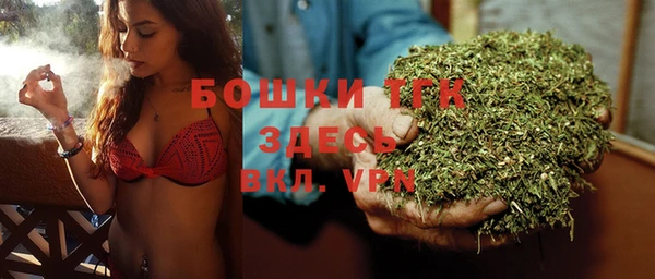 сатива Аркадак