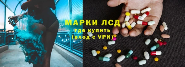 сатива Аркадак