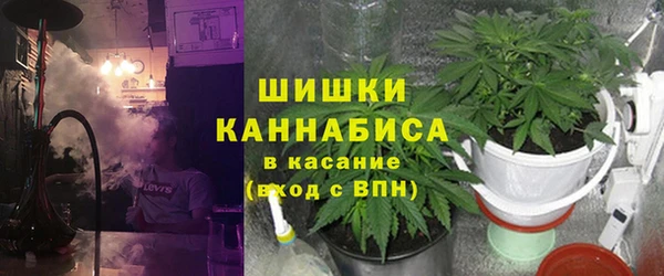 сатива Аркадак