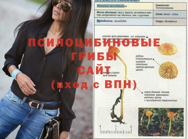 спиды Арсеньев