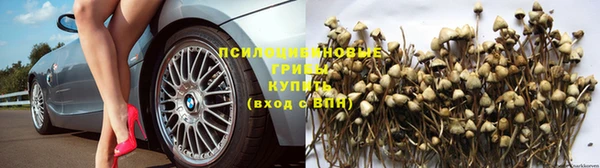 таблы Армянск